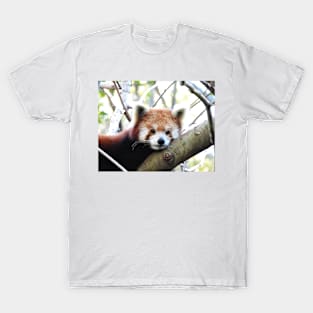 Red Panda T-Shirt